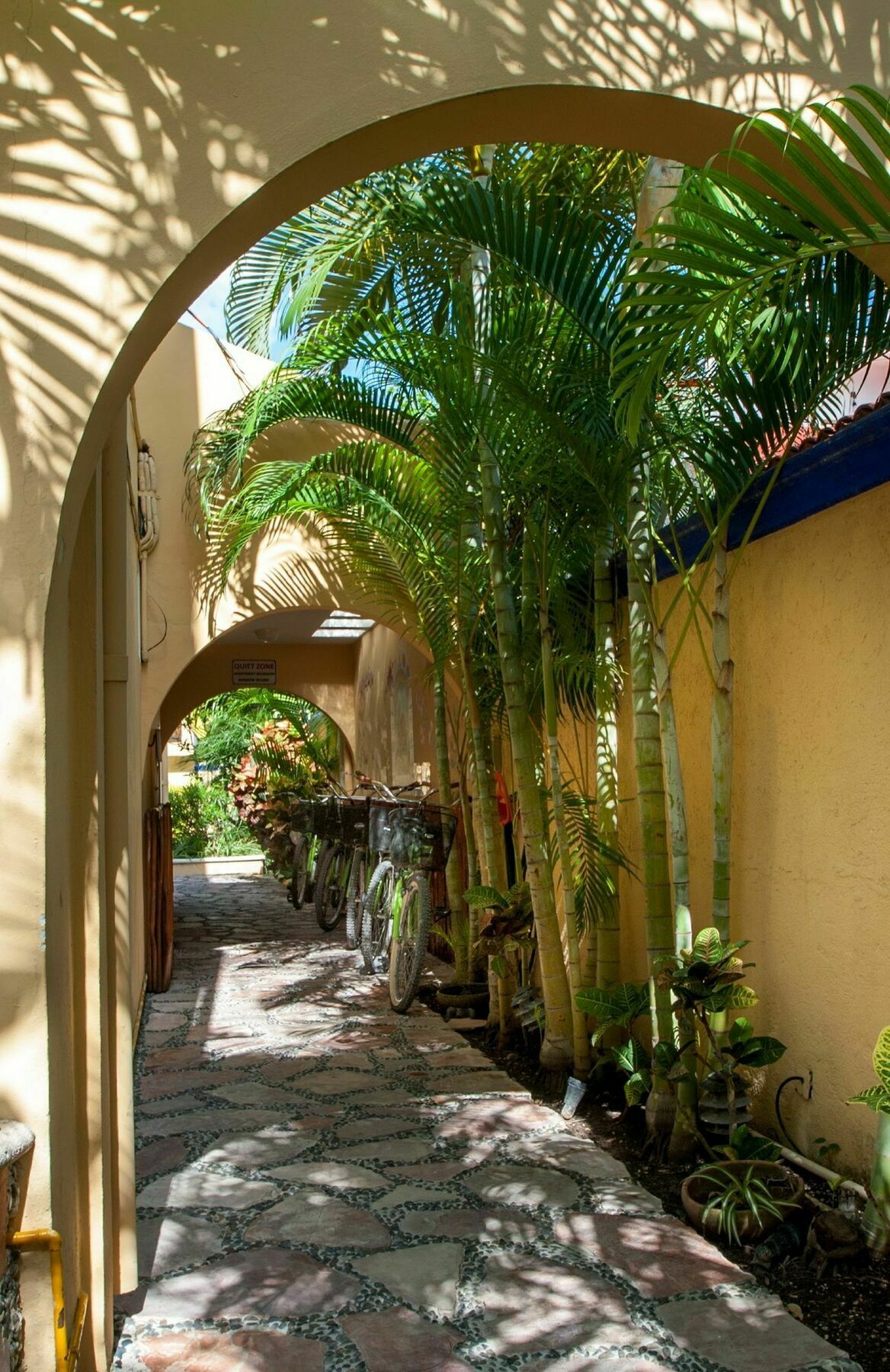Abbey Del Sol 3*